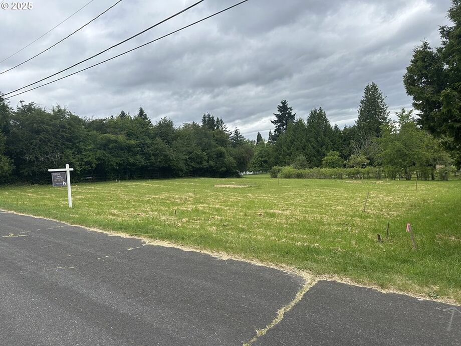 The lot from the driveway apron on SE Knapp Street.