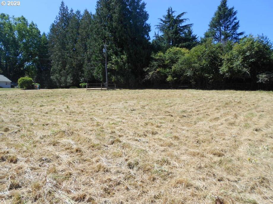 Across the mowed lot toward the trees at the rear of the property.