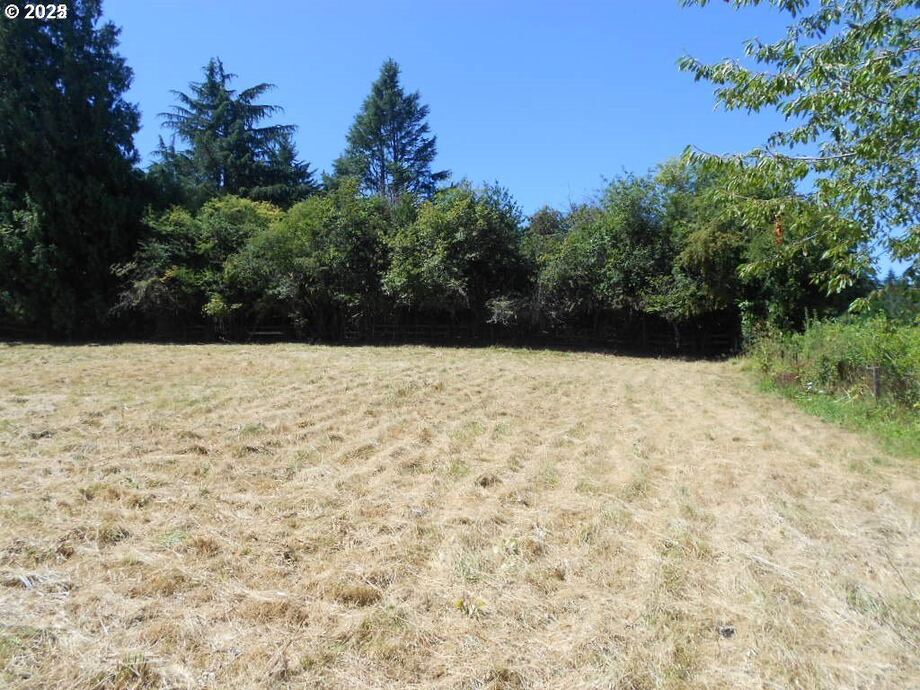 The lot on a clear day, looking toward the neighbouring treeline.